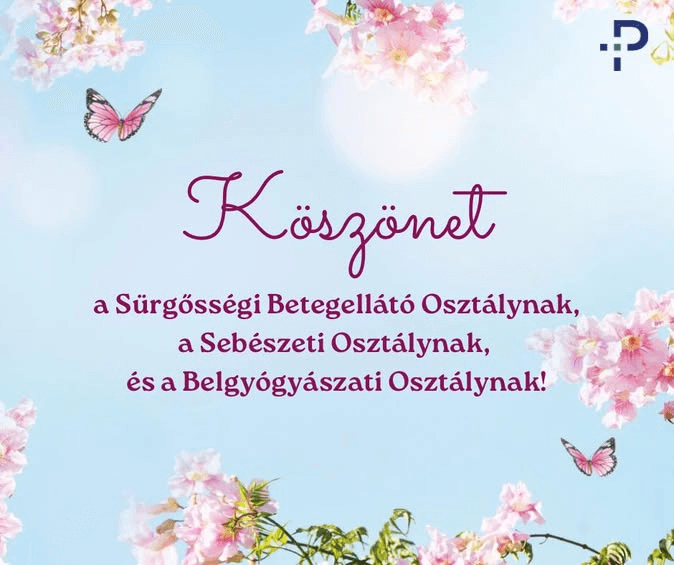 DUNAÚJVÁROSI SZENT PANTALEON KÓRHÁZ-RENDELŐINTÉZET 2025 Rólunk Mondták